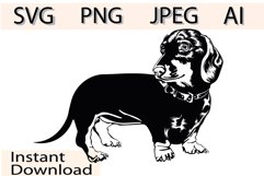 Dachsund dog/Dog Svg/Png/Jpg/Ai/Vector purebred breed/Pet Product Image 1