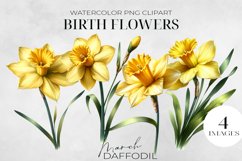 Birth Month Flowers Clipart, March Daffodil PNG. Product Image 1