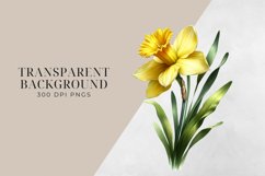 Birth Month Flowers Clipart, March Daffodil PNG. Product Image 2