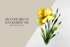 Birth Month Flowers Clipart, March Daffodil PNG. Product Image 2