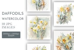 Daffodil Arrangements | Watercolour Clipart JPG Product Image 1