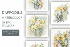 Daffodil Arrangements | Watercolour Clipart JPG Product Image 1