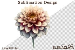 Watercolor dahlia flowers clipart, flowers Sublimation Product Image 1