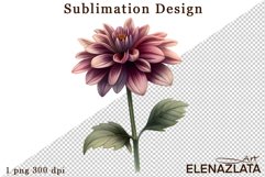 Watercolor dahlia flowers clipart, flowers Sublimation Product Image 1