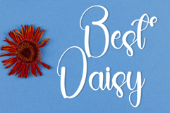 Daily Calm Product Image 4