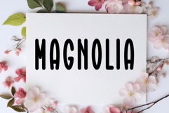 Daily Planner Product Image 4