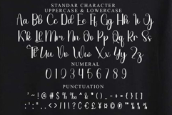 Daily Soulmate Product Image 3