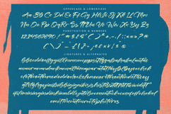 Daily Vintage - Handwritten Brush Font Product Image 15