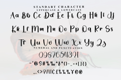 Daily Product Image 5