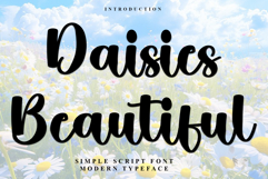 Daisies Beautiful Product Image 1