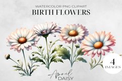 Birth Month Flowers Clipart, April Daisy PNG. Product Image 1