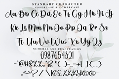 Daisy Anything Product Image 4