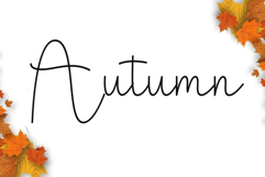 Daisy Birthday Product Image 8