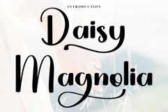 Daisy Magnolia Product Image 1