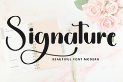 Daisy Magnolia Product Image 3