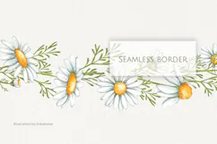 Daisy Seamless Border | Flowers garland PNG Product Image 1