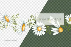 Daisy Seamless Border | Flowers garland PNG Product Image 2