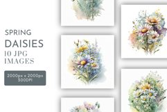 Daisy Arrangements | Watercolour Clipart JPG Product Image 1