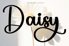 Daisy Product Image 1