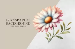 Birth Month Flowers Clipart, April Daisy PNG. Product Image 2