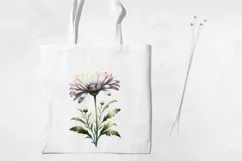 Birth Month Flowers Clipart, April Daisy PNG. Product Image 3