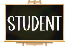 Daisy Product Image 6