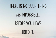 Daisy Product Image 2