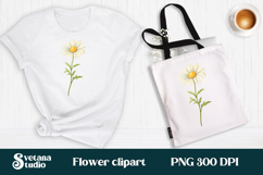 Daisy flower clipart PNG design | Summer flower sublimation Product Image 1