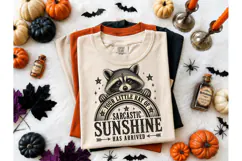 Sarcastic Raccoon Sunshine PNG Tee Desig Product Image 2