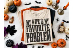 My Wife Is My Favorite Problem PNG Tee Product Image 1