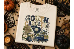 South Carolina State Pride PNG Tee Desig Product Image 2