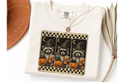 Halloween Raccoon Witch PNG Tee Design Product Image 1