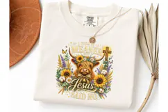 Highland Cow Jesus Said No PNG Tee Product Image 3
