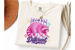 It's Ok To Be Different Raccoon PNG Tee Product Image 1