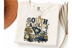 South Carolina State Pride PNG Tee Desig Product Image 3