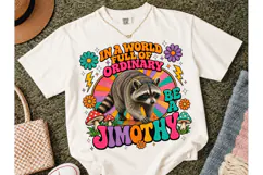 Be A Jimothy Raccoon Retro PNG Tee Product Image 2