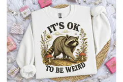 It's Ok To Be Weird Raccoon PNG Tee Product Image 3