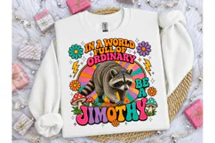 Be A Jimothy Raccoon Retro PNG Tee Product Image 1