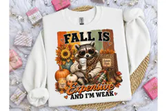 Fall Is Expensive Raccoon PNG Tee Product Image 2