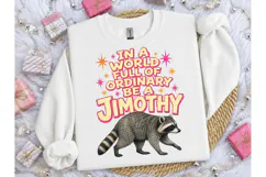 Be A Jimothy Raccoon Funny PNG Tee Product Image 3