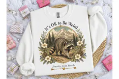 It's OK to Be Weird Raccoon PNG Tee Product Image 3