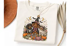 Halloween Dachshund Witch PNG Shirt Desi Product Image 3