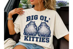 Big Ol Kitties Fat Cat PNG Tee Design Product Image 1