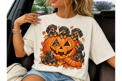 Dachshund Halloween Pumpkin PNG Tee Product Image 1