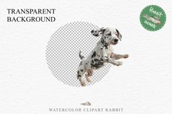 Dalmatian Cute Puppy Baby Dog in Basket Animals Clipart PNG Watercolor  Transparent Print for invitation t-shirt designs sublimation kids printable digital watercolor Baby dog png, watercolor Dalmatian puppy clipart, sublimation nursery drawing