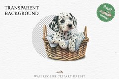 Dalmatian Cute Puppy Baby Dog in Basket Animals Clipart PNG Watercolor  Transparent Print for invitation t-shirt designs sublimation kids printable digital watercolor Baby dog png, watercolor Dalmatian puppy clipart, sublimation nursery drawing