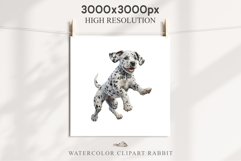Dalmatian Cute Puppy Baby Dog in Basket Animals Clipart PNG Watercolor  Transparent Print for invitation t-shirt designs sublimation kids printable digital watercolor Baby dog png, watercolor Dalmatian puppy clipart, sublimation nursery drawing