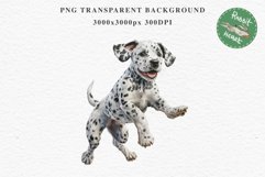Dalmatian Cute Puppy Baby Dog in Basket Animals Clipart PNG Watercolor  Transparent Print for invitation t-shirt designs sublimation kids printable digital watercolor Baby dog png, watercolor Dalmatian puppy clipart, sublimation nursery drawing