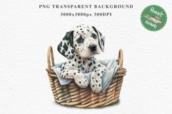 Dalmatian Cute Puppy Baby Dog in Basket Animals Clipart PNG Watercolor  Transparent Print for invitation t-shirt designs sublimation kids printable digital watercolor Baby dog png, watercolor Dalmatian puppy clipart, sublimation nursery drawing