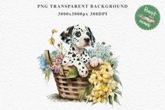 Dalmatian Cute Puppy Baby Dog in Basket Animals Clipart PNG Watercolor  Transparent Print for invitation t-shirt designs sublimation kids printable digital watercolor Baby dog png, watercolor Dalmatian puppy clipart, sublimation nursery drawing